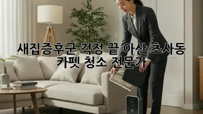새집증후군 걱정 끝! 아산 초사동 카펫 청소 전문가