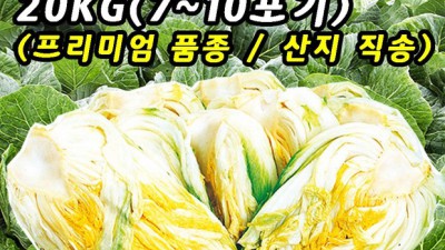 싱싱한 배추 산지직거래! 믿을 수 있는 농가 직송 특가 이벤트 중!